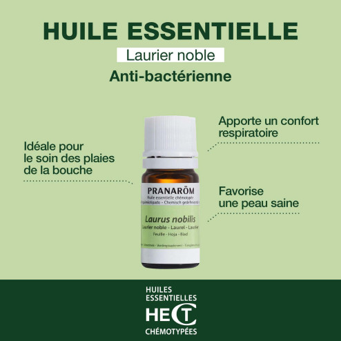 Huile essentielle Laurier noble