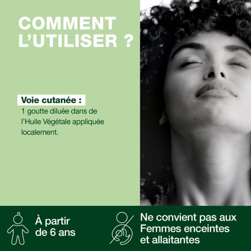 Huile essentielle Thym à feuilles de sarriette