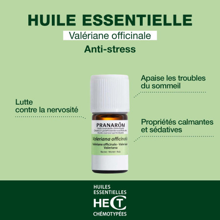 Huile essentielle Valériane officinale