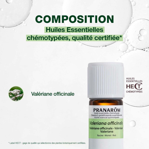 Huile essentielle Valériane officinale