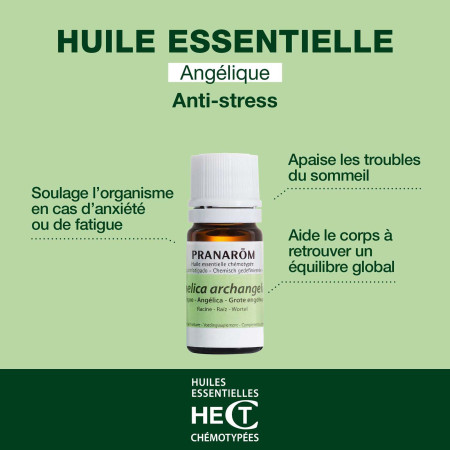 Huile essentielle Angélique
