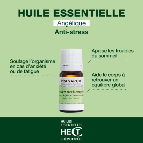 Huile essentielle Angélique