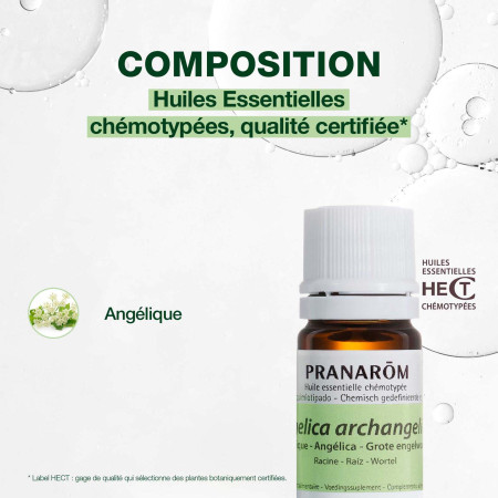 Huile essentielle Angélique