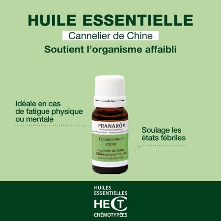 Huile essentielle Cannelle de Chine