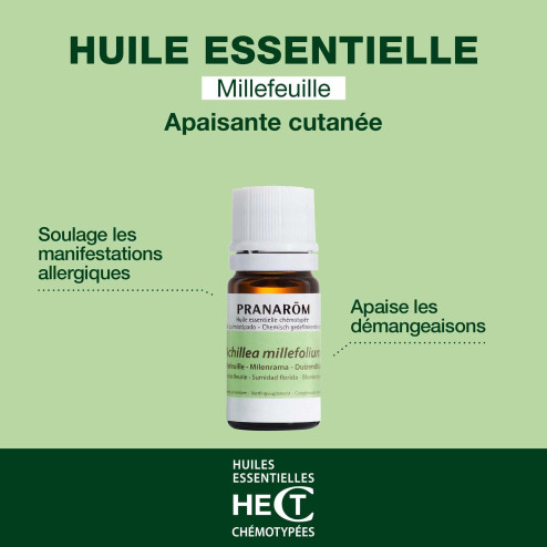Huile essentielle Millefeuille