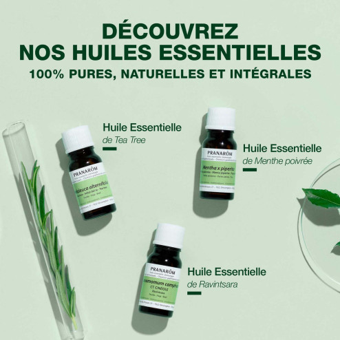 Huile essentielle Myrte verte ou à cinéole Bio