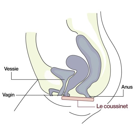culotte fuite urinaire