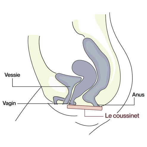 culotte fuite urinaire