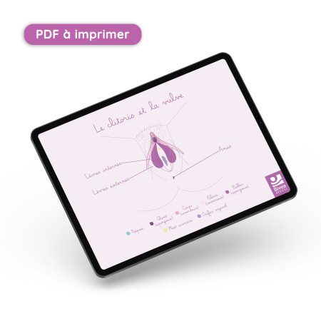 Carte anatomique Clitoris...