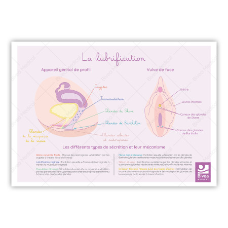 Carte La lubrification