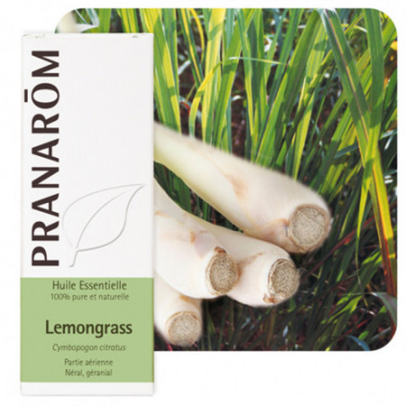 Huile essentielle Lemongrass cymbopogon