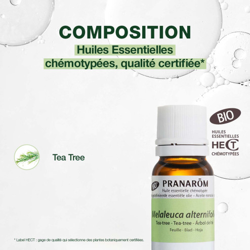 Huile essentielle Tea tree Bio