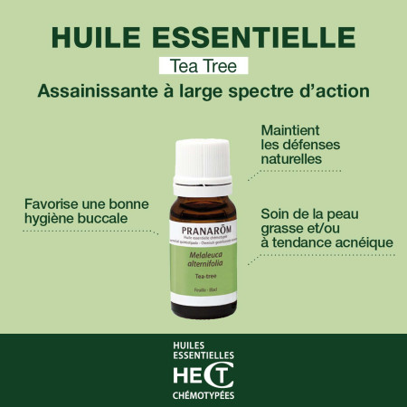 Huile essentielle Tea Tree