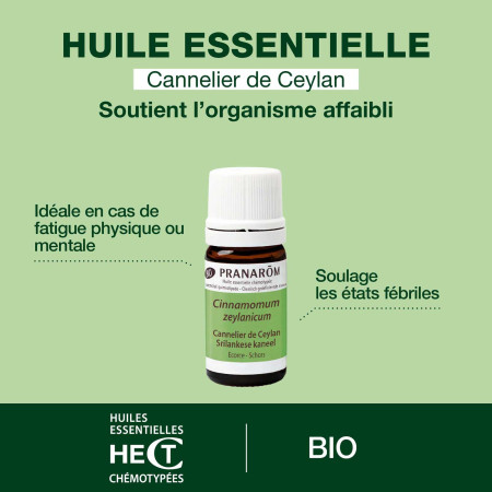 Huile essentielle cannelle de Ceylan écorce Bio