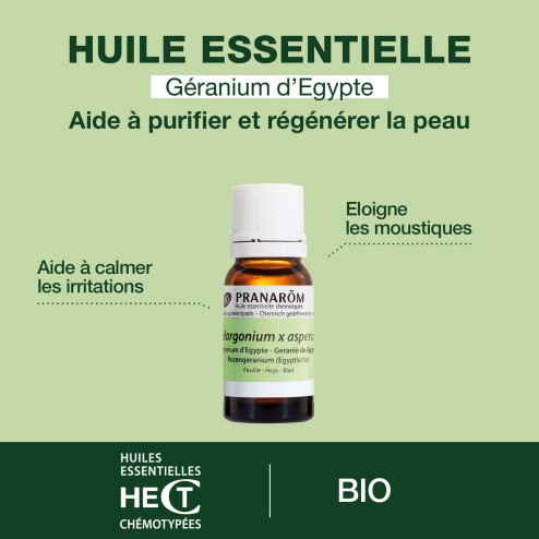 Huile essentielle Géranium d'Egypte