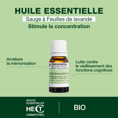 Huile essentielle Sauge à feuilles de lavande Bio