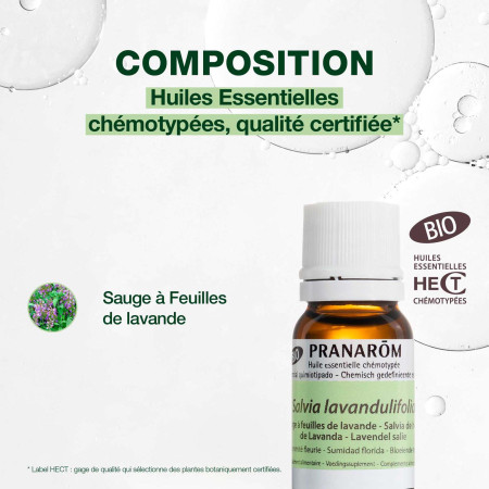 Huile essentielle Sauge à feuilles de lavande Bio