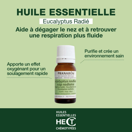 Huile essentielle Eucalyptus radié