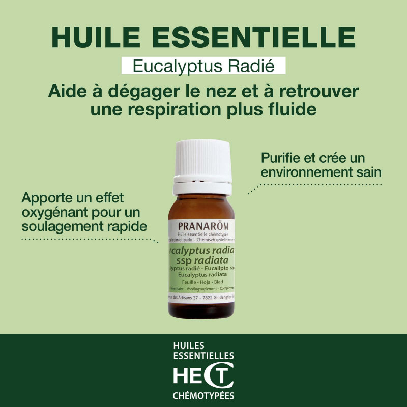 Huile essentielle Eucalyptus radié