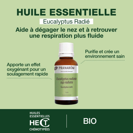 Huile essentielle Eucalyptus radié Bio