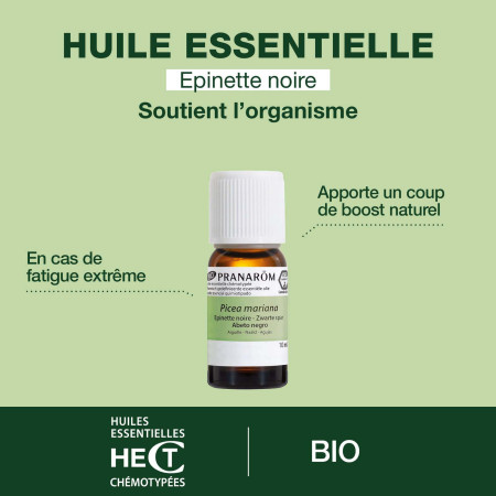Huile essentielle Epinette noire Bio
