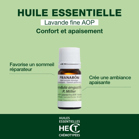 Huile essentielle Lavande fine AOP