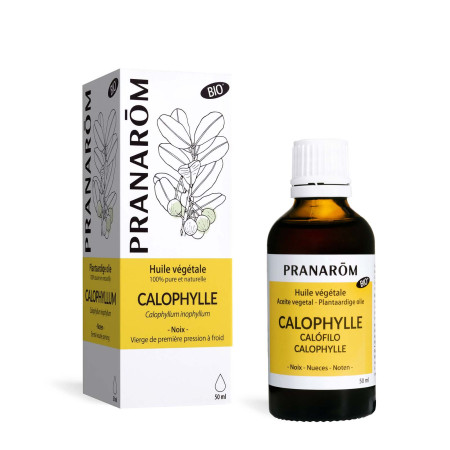 Huile végétale Calophylle BIO