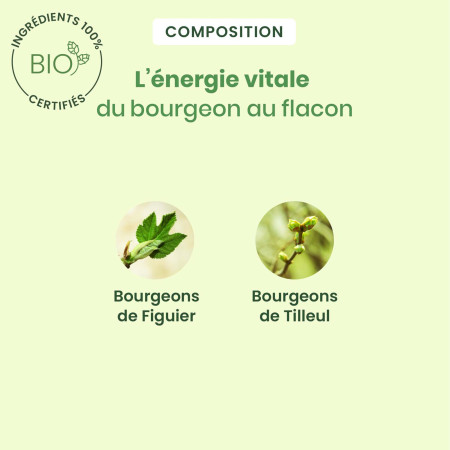 Complexe Gemmothérapie Noctigem bio - Sommeil