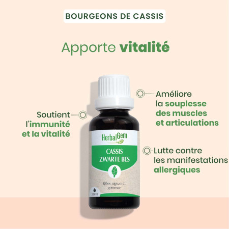 Macérat mère bourgeons de Cassis Bio