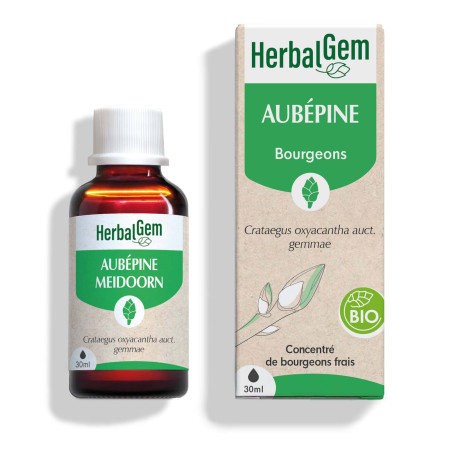 Macérat mère bourgeons d'Aubépine Bio