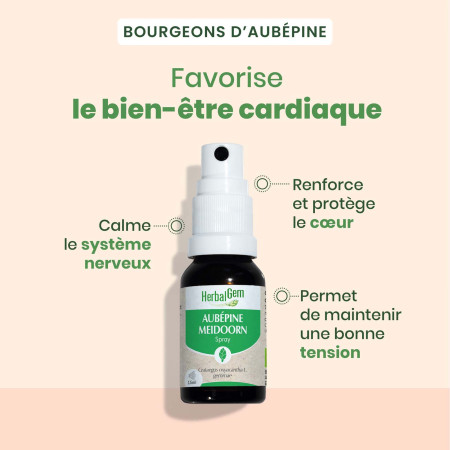 Macérat mère bourgeons d'Aubépine Bio