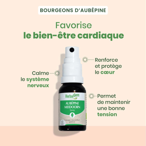 Macérat mère bourgeons d'Aubépine Bio