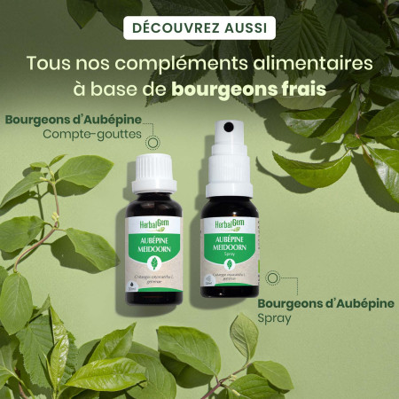 Macérat mère bourgeons d'Aubépine Bio