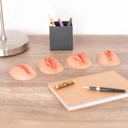 Lot de 4 vulves anatomiques...