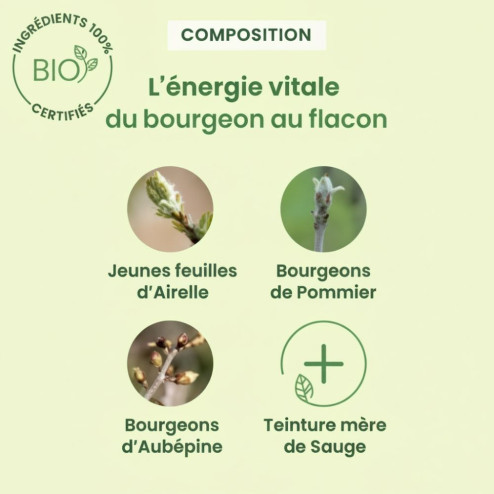 Complexe Gemmothérapie Fem50+ GEM bio - Ménopause