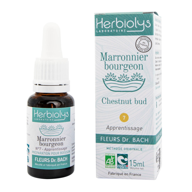 Elixir floral Marronnier bourgeon n° 7 Bio