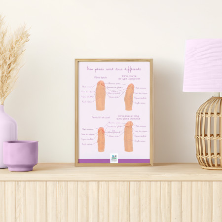 Poster A4 Nos pénis sont tous différents