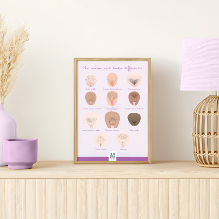 Poster A4 illustration nos vulves sont toutes différentes