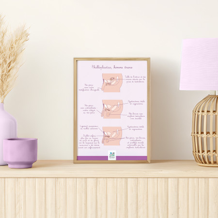 Poster A4 Phalloplasties homme trans