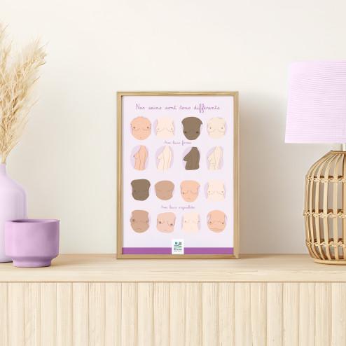 poster différentes formes de seins illustrés en A4