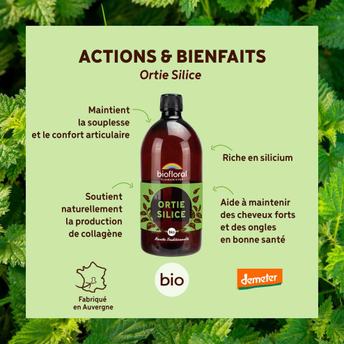 Ortie Silice Bio - Articulations & Muscles