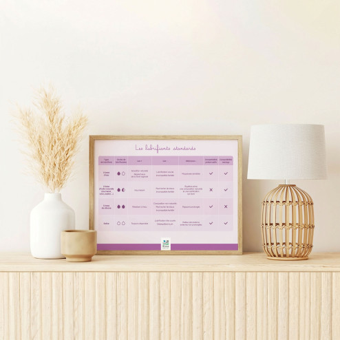 Tableau des différents types de lubrifiants standards encadré