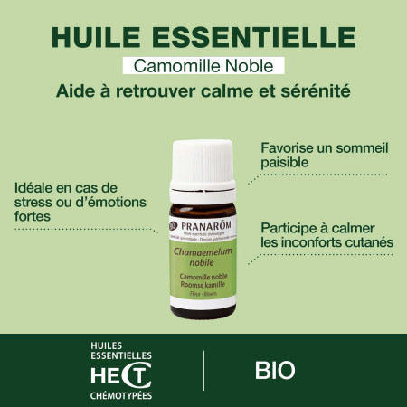 Huile essentielle Camomille noble Bio