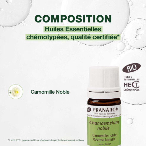 Huile essentielle Camomille noble Bio