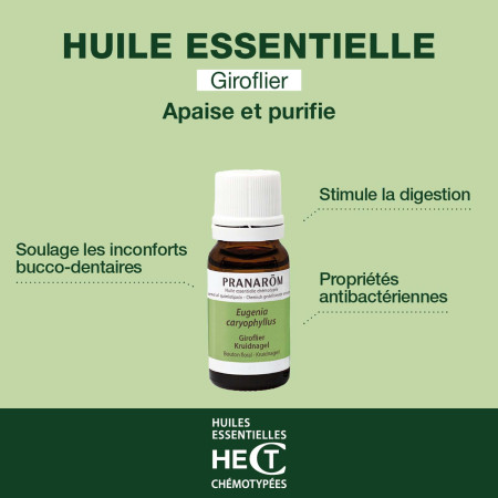 Huile essentielle Giroflier