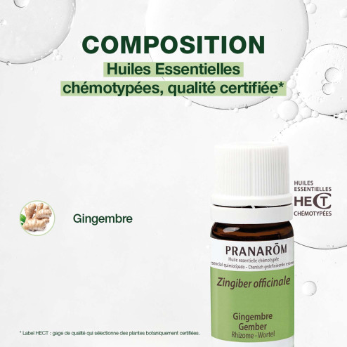 Huile essentielle Gingembre