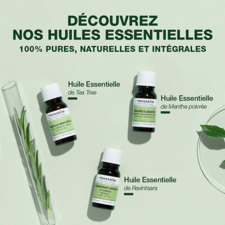 Huile essentielle Gingembre
