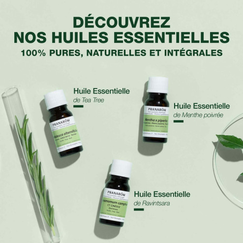 Huile essentielle Litsée citronnée