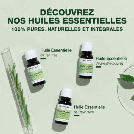 Huile essentielle Rose de Damas bio