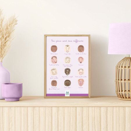 poster différentes formes de pénis illustrées dans un cadre